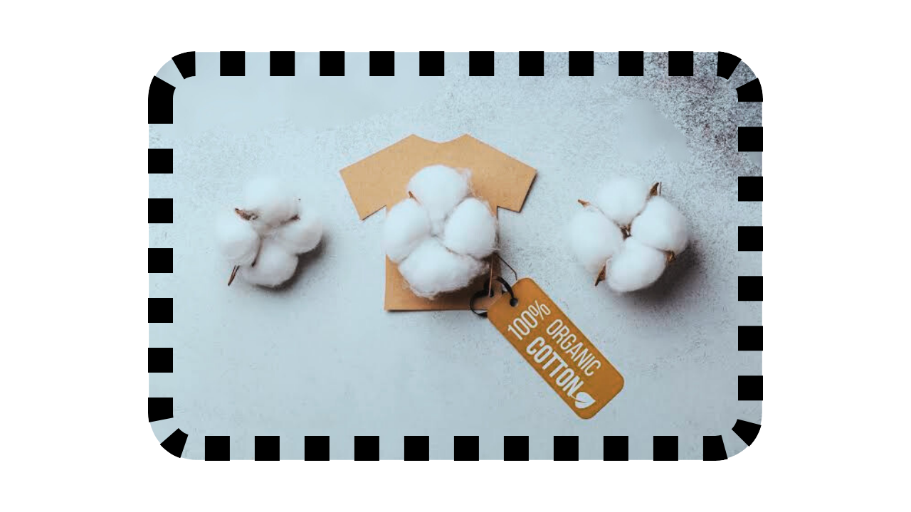 An image of organic cotton